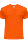 Koszulki T-SHIRT 150g brick męski