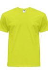 Koszulki T-SHIRT 150g pistachio męski