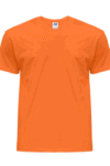 Koszulki T-SHIRT 150g tangerine męski